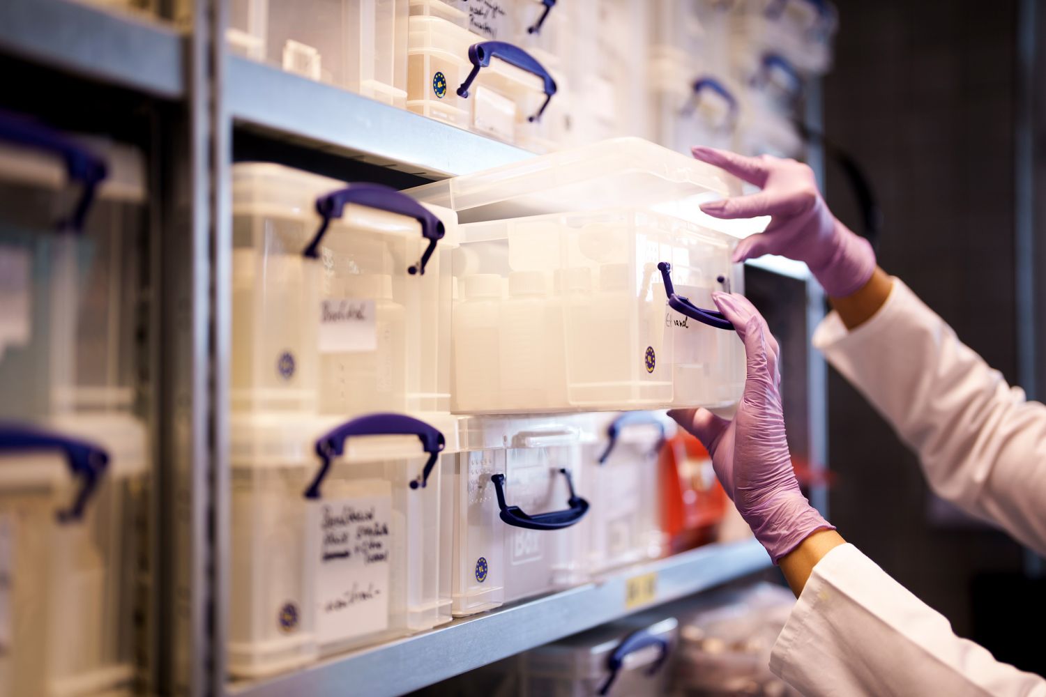 An employee wearing pink protective gloves removes a labeled plastic box from a shelf in the Alfred Becht GmbH laboratory.
